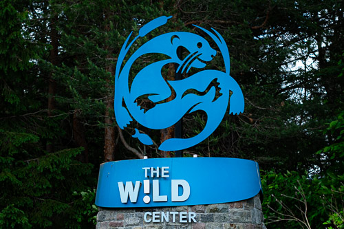 The Wild Center   |  Tupper Lake, NY - Jun 2026